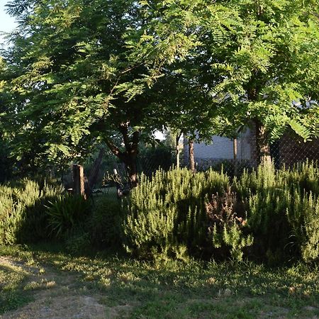 Il Saragio Villa Abbadia di Montepulciano ภายนอก รูปภาพ