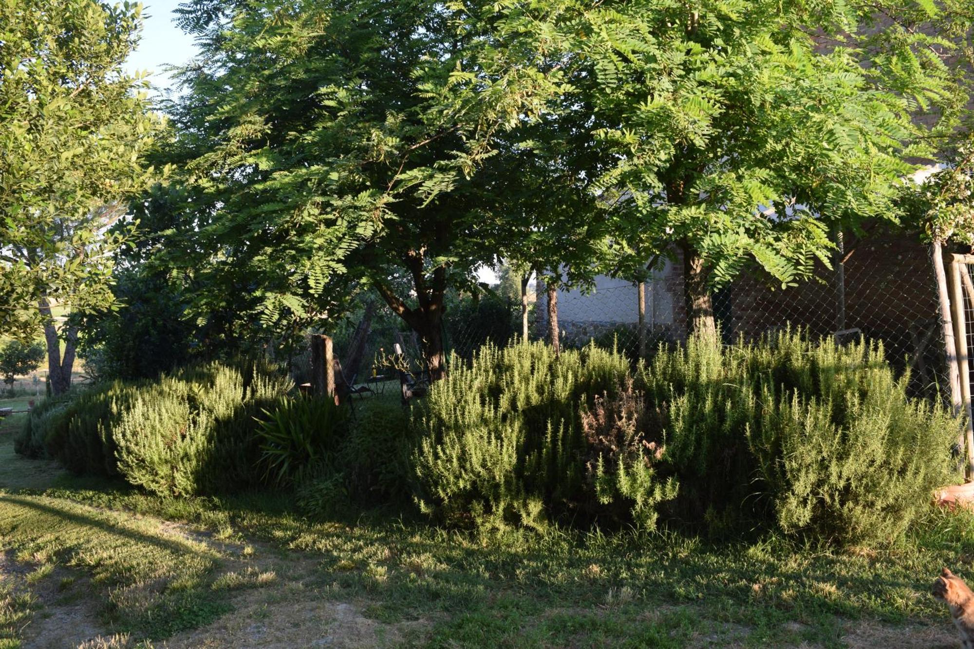 Il Saragio Villa Abbadia di Montepulciano ภายนอก รูปภาพ