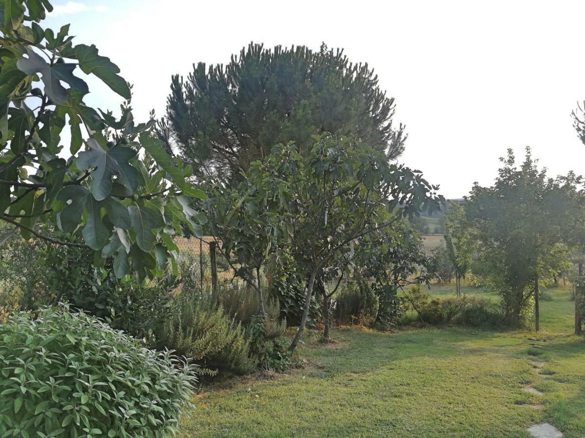 Il Saragio Villa Abbadia di Montepulciano ภายนอก รูปภาพ